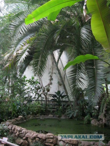 Я люблю Казань!