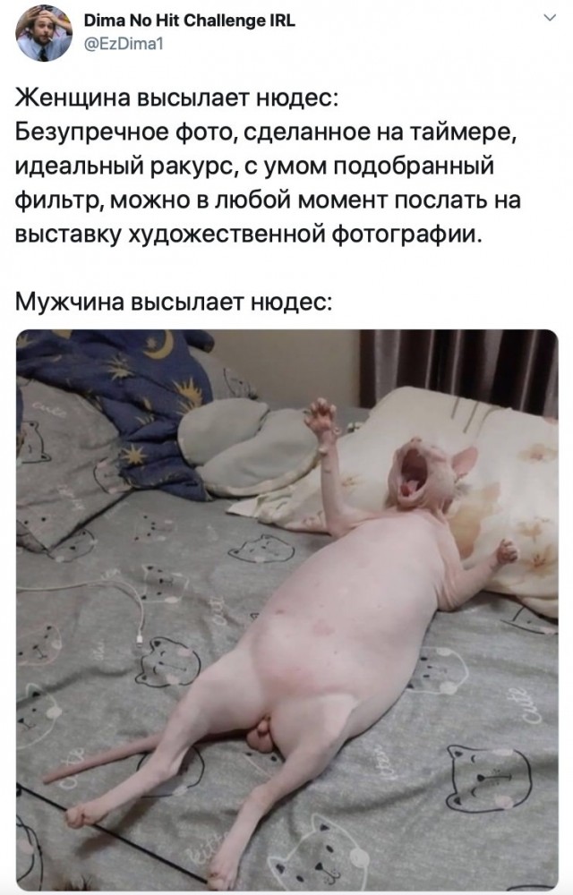 Немного картинок для настроения - 114