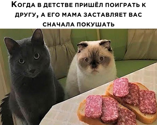 Картинки и мемы. Выходные близко...