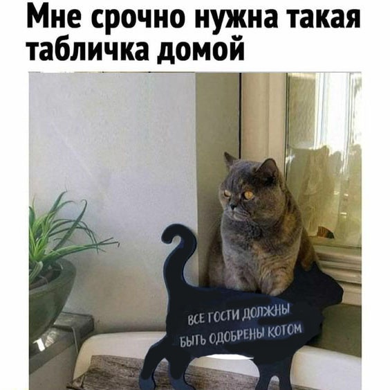Так себе картинки 27.11.22