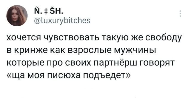 Весёлый полтишок 16.07.23