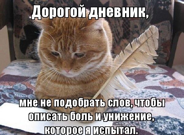 Что, в России еды не хватает?