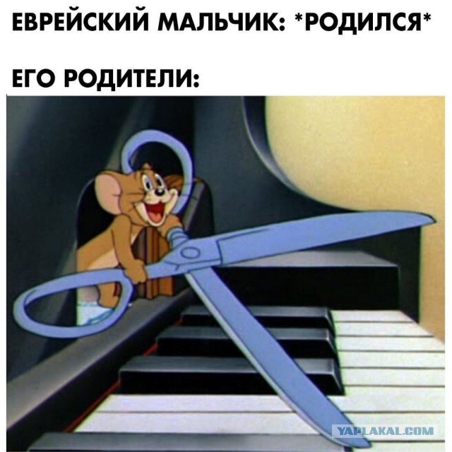 Отвал башки в конце января