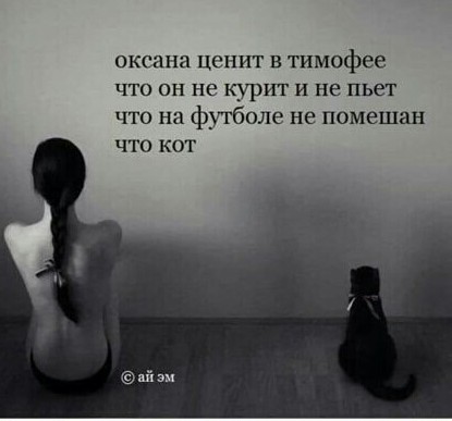Котики из снега и котики на снегу