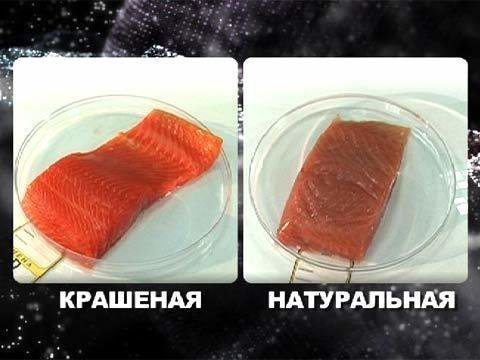 Цвет "настоящих" деревенских яиц или как обмануть потребителя