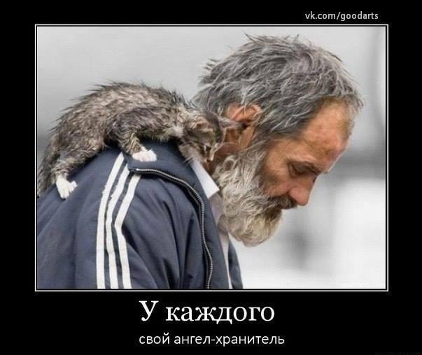 Мужик спас котёнка