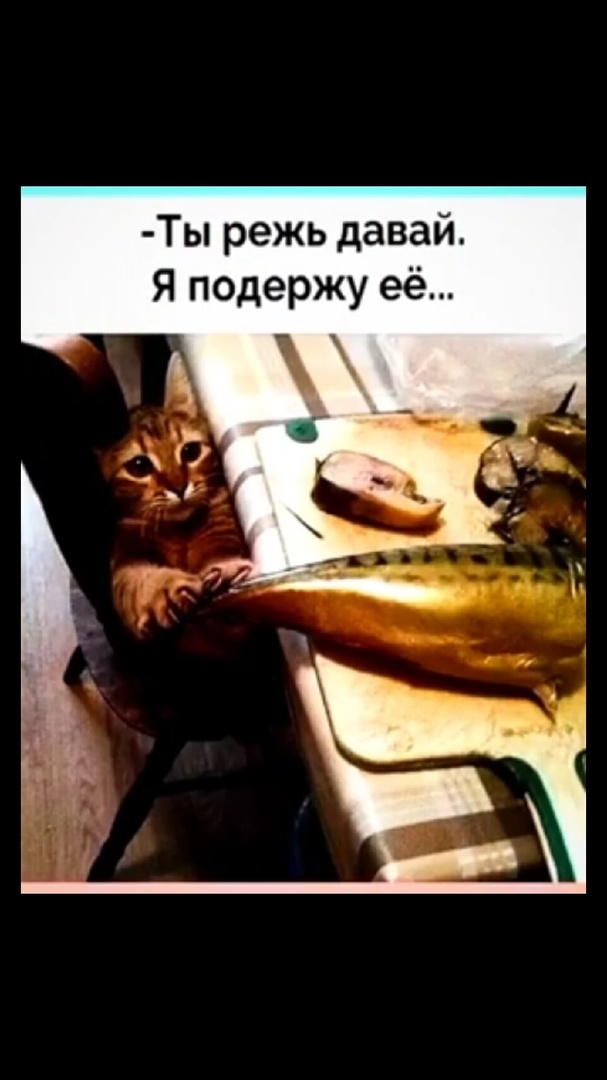 Так себе картинки 25.04.25