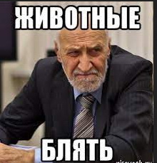 В ОАЭ фанаты сборной устроили настоящий хаос на трибунах после пропущенного гола от Катара