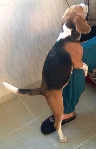 Это как-то негигиенично