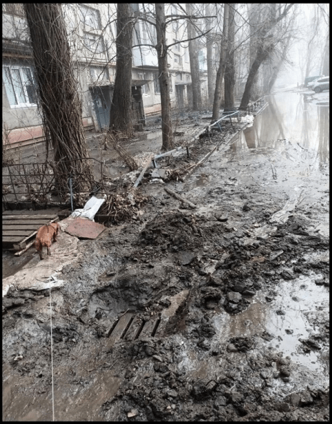 В среду -15°C, а в пятницу +2°C и обильные снегопады: погода в Подмосковье готовит сюрпризы