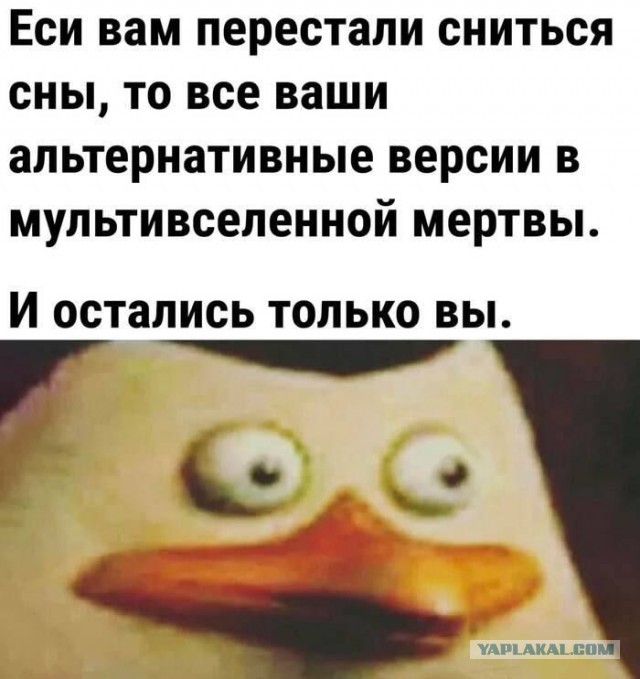 Сны после новогоднего застолья