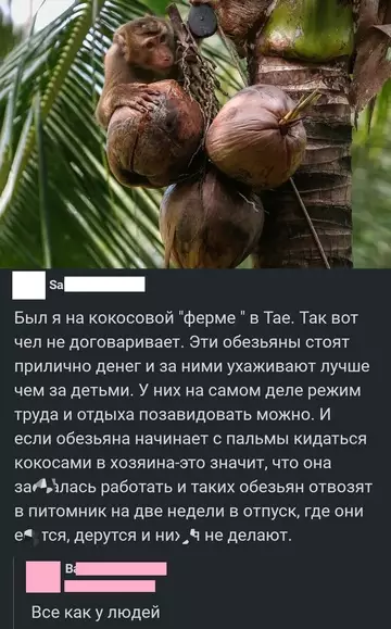 Картиночки, баянчики 12 марта