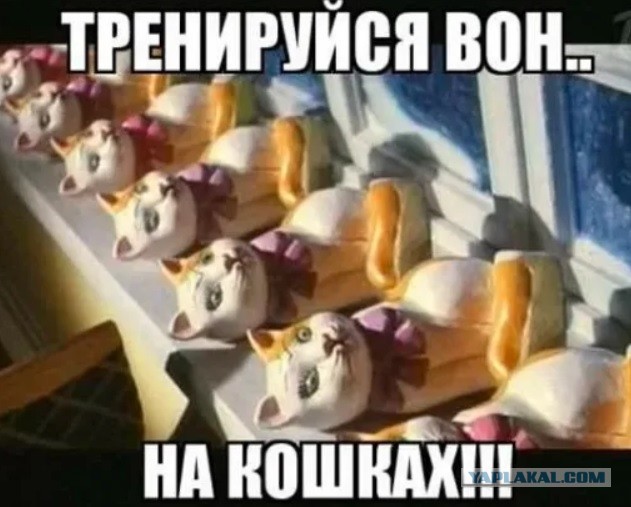 Вундеркинд-психолог Алиса Теплякова берёт по 50 тысяч рублей за приём