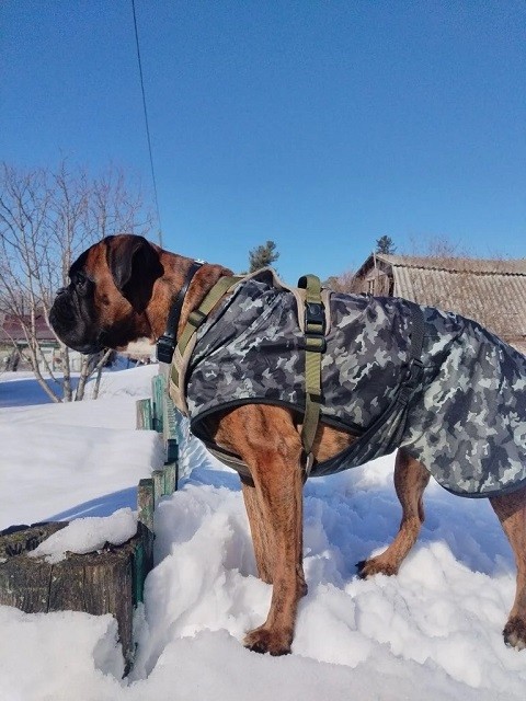 Скоро огород!