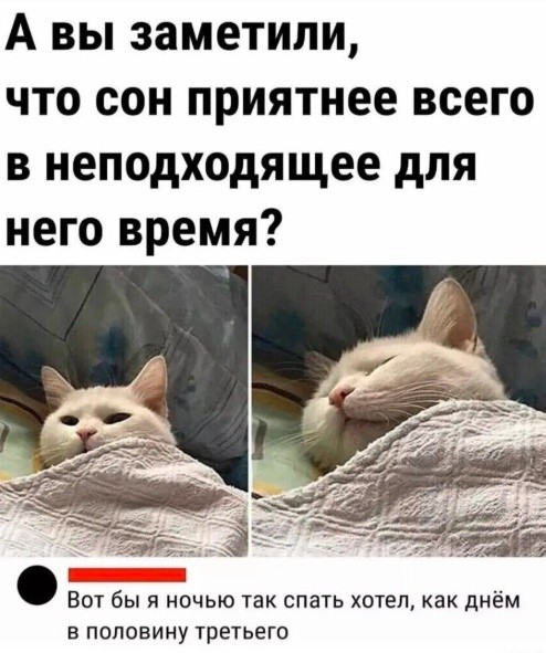 Картинки
