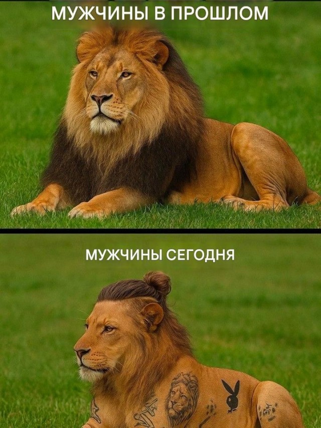 Картинки для деградации 246 (разной степени свежести)