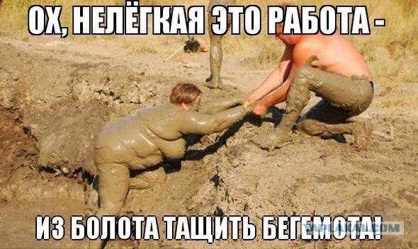 Ким Кардашьян