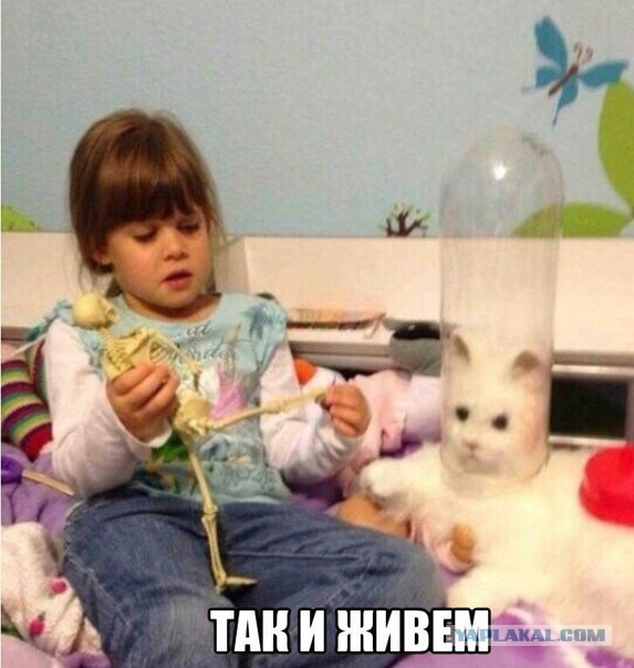 Прикольные картинки на понедельник .