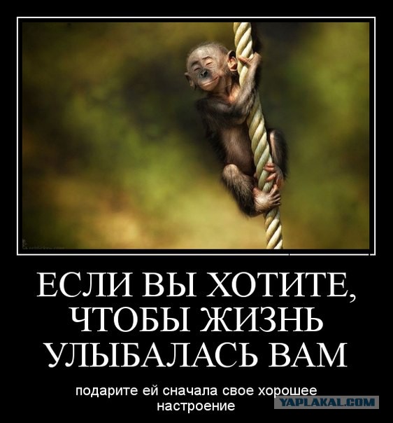 Добряки, плюсующие всех подряд