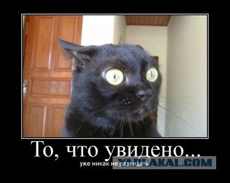 Чёрт, чёрт, чёрт!