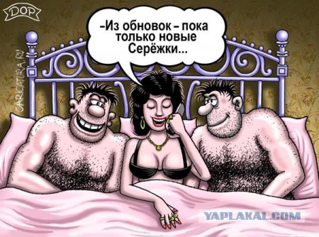 Наша любвеобильная соседка