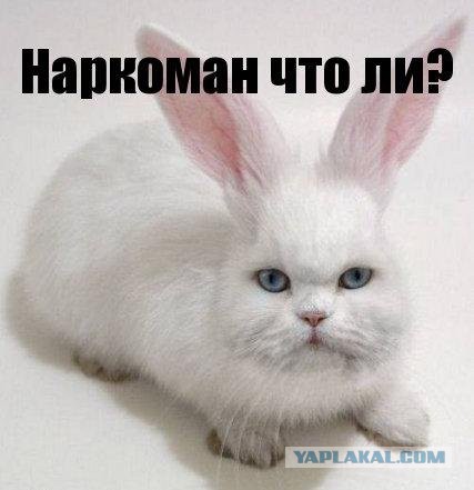 Да-да, я существую!