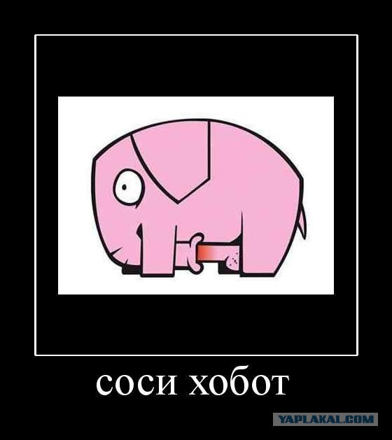 Кнопа с бл@док пришёл... Кнопа устал...