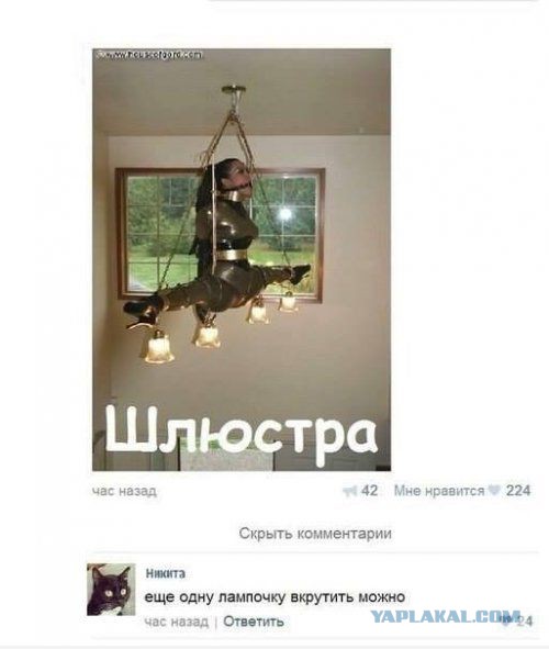 Немного картинок и юмора