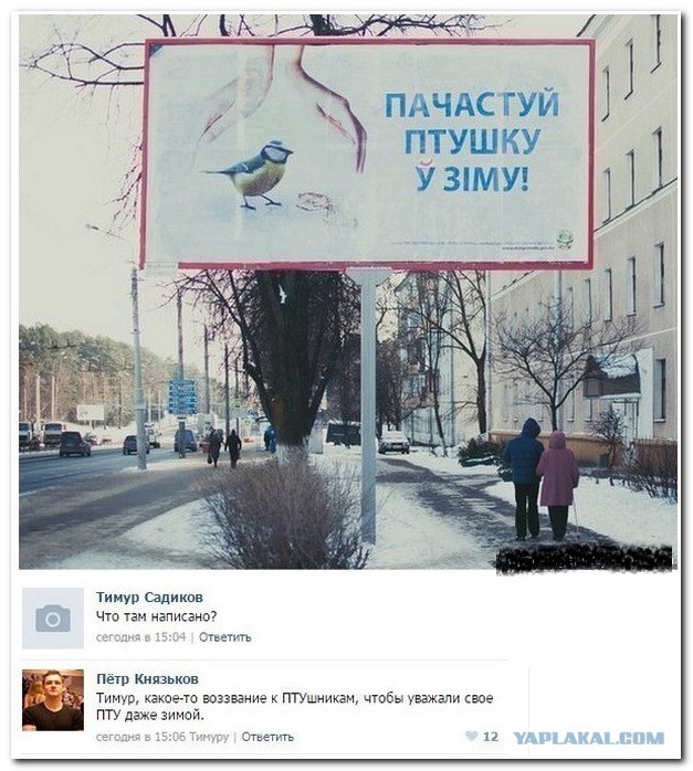 Смешные комментарии из социальных сетей