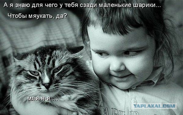 Картинки из этих ваших интернетов