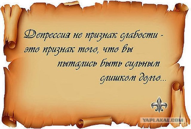 20 фактов обо всем
