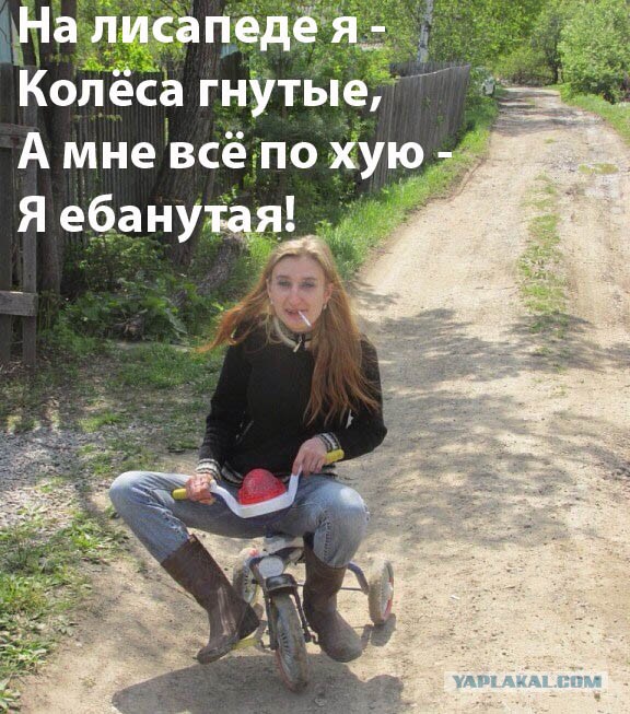 Вестник соцсетей