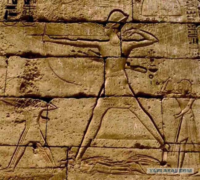 Последние 1000 лет