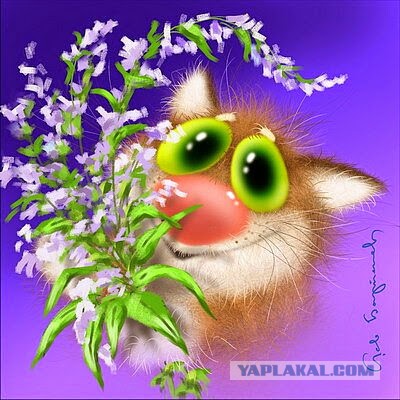 Из жизни упоротых