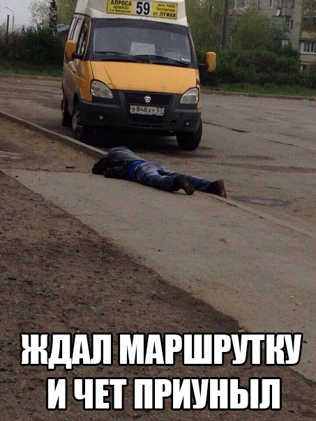Картинки 12.05.2015