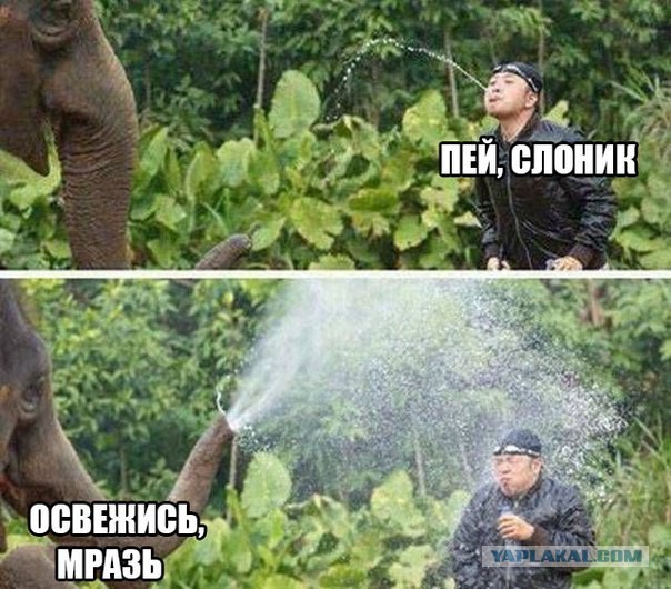Картинки разные