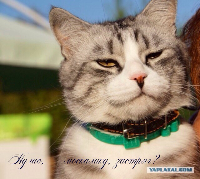 Как я съездил на Западную Украину