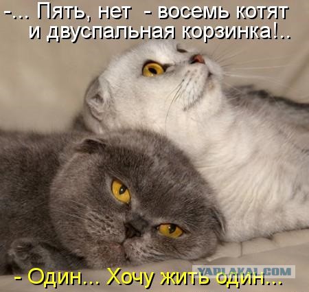 Немного о детях