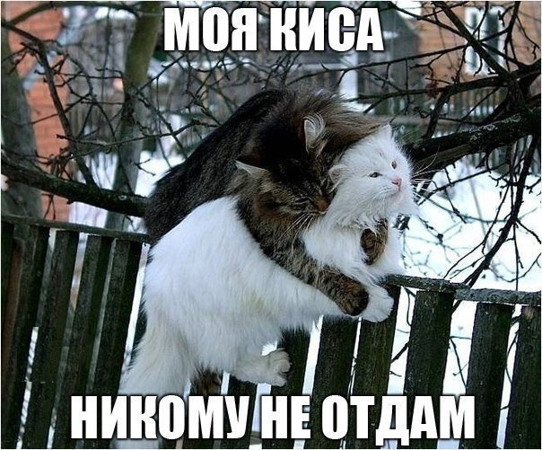 Не уходи, останься со мной