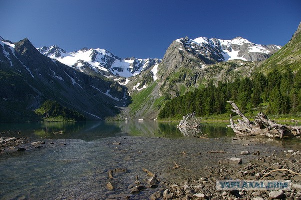 Россия и Маврикий ввели безвизовый режим