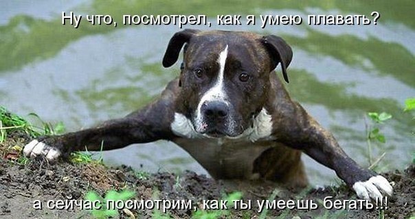 Картинки на утро вторника