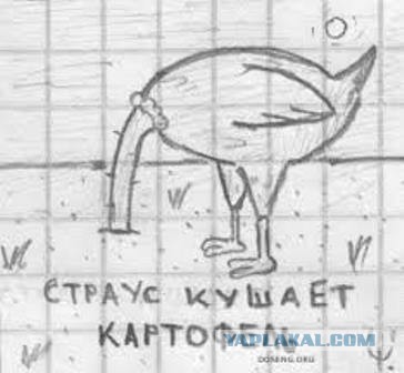 Абсурдная субботница