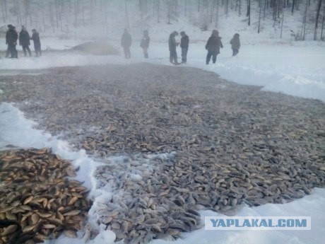 Магадан, старые и новые фотки