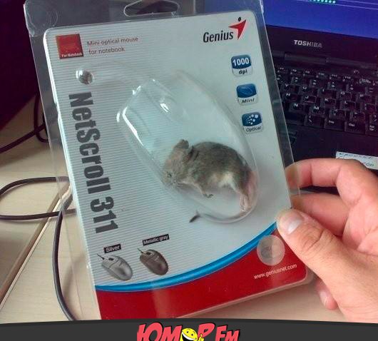Фотограммы #да ты упоротый штоле? #немншк