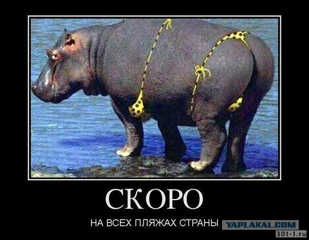 Уже на всех пляжах страны!