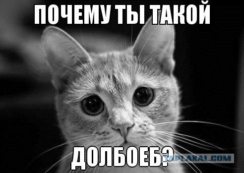 Новый мем Медведева