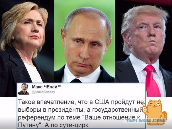 Высокий рейтинг Путина на примере Саддама Хусейна.