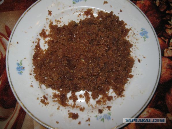 Посиделки под селёдку