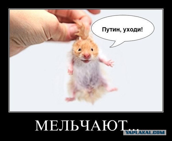 Протест дальнобойщиков в СПБ! Водители перекрыли машинами автомагистраль открытую Путиным.