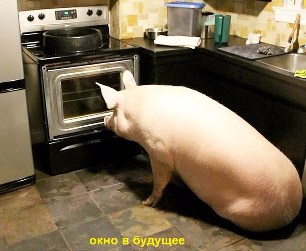 Юмор для всех